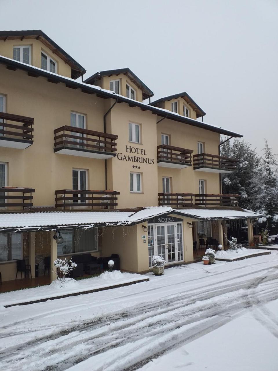 Hotel Gambrinus Abbadia San Salvator Luaran gambar